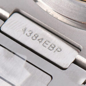 Nautilus 5719/1G 40mm PPF Full Diamonds Dial and Bracelet 324CS - Image 12