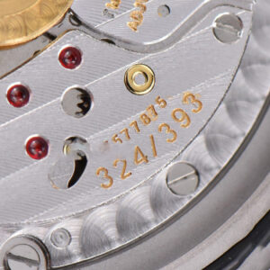 Nautilus 5719/1G 40mm PPF Full Diamonds Dial and Bracelet 324CS - Image 20