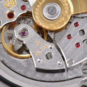 Nautilus 5719/1G 40mm PPF Full Diamonds Dial and Bracelet 324CS - Image 21