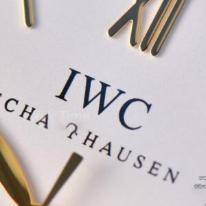 Portofino ‘150 Years’ 40MM V7F White Dial YG Markers Black Leather Strap A2892/SW200 - Image 13