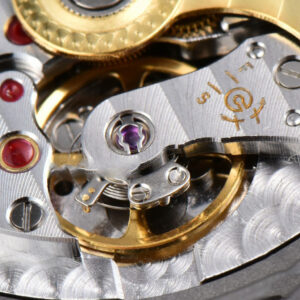 Nautilus 5711 40mm PPF Gray Dial SS Bracelet A324CS - Image 11
