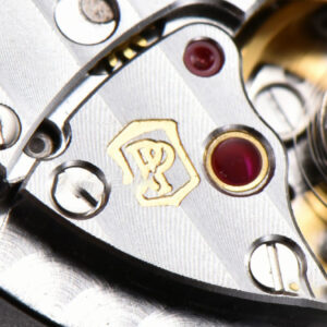 Nautilus 5711 40mm PPF Gray Dial SS Bracelet A324CS - Image 15