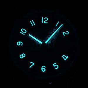 Calatrava 6007 40mm PPF Grey Blue Dial Gray Nylon Strap 324CS - Image 24
