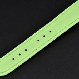 Tank Must Small 29.5×22mm K11F White Dial Green Smooth Calf Strap Quartz - Image 21