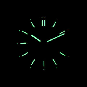 Nautilus 5711 PPF 40MM Green Dial SS Bracelet A324SC - Image 21