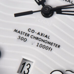 Seamaster Diver 300M 42mm ZF Black Ceramic White Dial SS Bracelet A8800 - Image 19