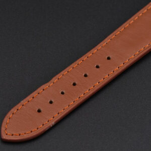 Polaris Geographic 40mm LTF Blue Dial Brown Leather Strap MIYOTA 9015 - Image 13