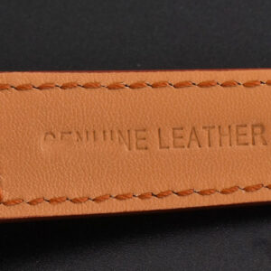 Polaris Geographic 40mm LTF Blue Dial Brown Leather Strap MIYOTA 9015 - Image 16