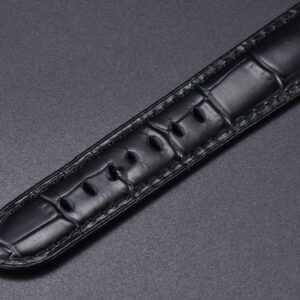 PAM1096 Luminor GMT 42mm Titanium VSF Black Dial Black Leather Strap P9011 - Image 14