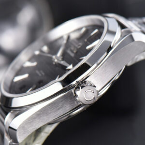 Aqua Terra 150M VSF 41MM Black Dial Silver Hand Silver Markers SS Bracelet A8900 - Image 19