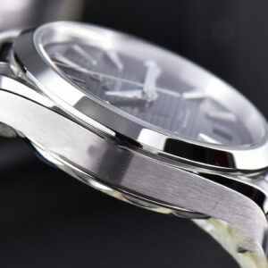 Aqua Terra 150M VSF 41MM Black Dial Silver Hand Silver Markers SS Bracelet A8900 - Image 20