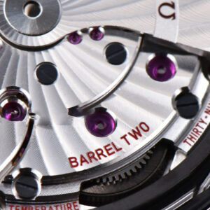 Aqua Terra 150M VSF 41MM White Wave Dial Silver Markers SS Bracelet A8500 - Image 22