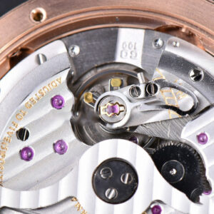 Excellence Panorama V9F 40MM RG Date Moonphase White Dial Brown Leather Strap A100 - Image 21