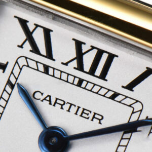 Panthère Secrete Ladies 22mm SS/YG BVF White Dial on SS/YG Bracelet Ronda Quartz - Image 6