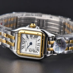 Panthère Secrete Ladies 22mm SS/YG BVF White Dial on SS/YG Bracelet Ronda Quartz - Image 12
