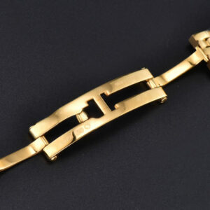 Panthère Secrete Ladies 22mm YG BVF White Dial YG Bracelet Ronda Quartz - Image 6