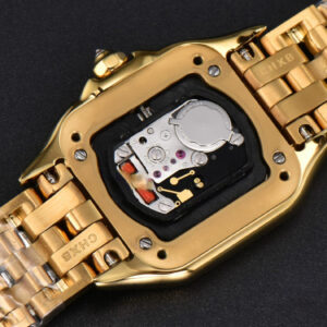 Panthère Secrete Ladies 22mm YG BVF White Dial YG Bracelet Ronda Quartz - Image 15
