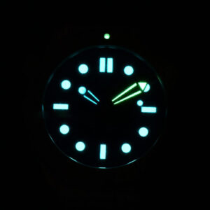 Seamaster Diver 300M Nekton 42mm VSF Black Dial Black Rubber Strap A8806 - Image 27