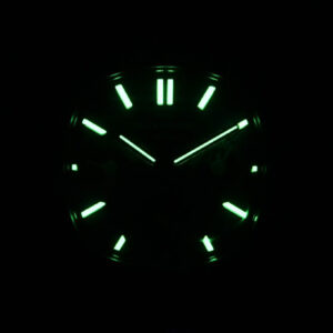 Nautilus 5740 40mm TWF Diamond Green Dial SS Bracelet A240 - Image 31