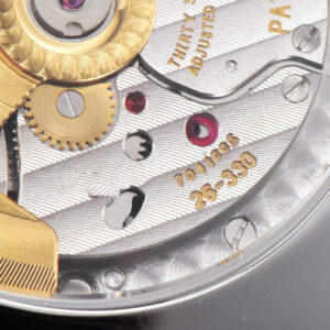 Calatrava 5226G PPF 40mm Gray Dial Nylon Strap MY9015 Mod - Image 4