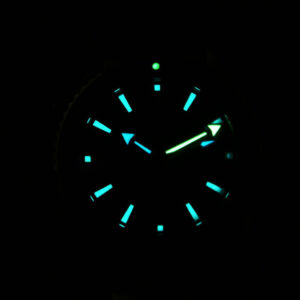Planet Ocean 600m 43.5mm VSF Black Dial SS Bracelet A8906