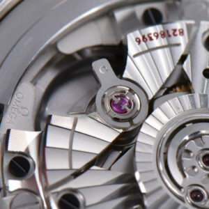 Seamaster Diver SS 300M VSF 42MM Gray Dial Rubber Strap A8800 - Image 22