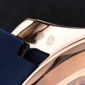Seamaster Diver RG/SS 300M VSF 42MM Blue Dial Rubber Strap A8800 - Image 14