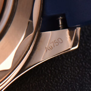 Seamaster Diver RG/SS 300M VSF 42MM Blue Dial Rubber Strap A8800 - Image 15