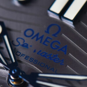 Seamaster Diver SS 300M VSF 42MM Gray Dial SS Bracelet A8800 - Image 19