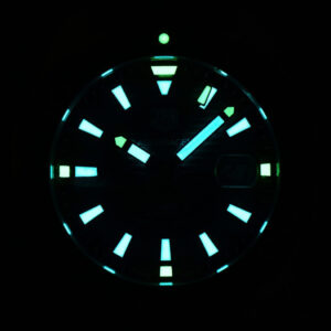 Aquaracer Calibre 5 OF 43MM Green Dial Green Bezel SS Bracelet Swiss SW200 - Image 32