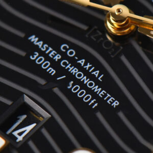 Seamaster Diver YG/SS 300M VSF 42MM Black Dial YG/SS Bracelet A8800 - Image 11