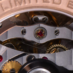 Royal Oak Offshore JF 44MM RG Ceramic Gray Michael Schumacher A3126 - Image 21