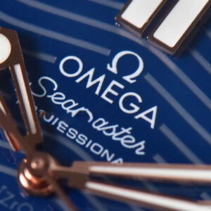 Seamaster Diver RG/SS 300M VSF 42MM Blue Dial RG/SS Bracelet A8800 - Image 25
