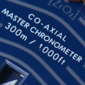 Seamaster Diver RG/SS 300M VSF 42MM Blue Dial RG/SS Bracelet A8800 - Image 27