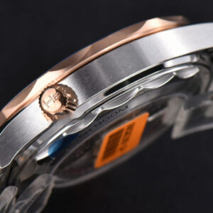 Seamaster Diver RG/SS 300M VSF 42MM Blue Dial RG/SS Bracelet A8800 - Image 39