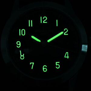 Calatrava 5226G PPF 40mm Gray Dial Nylon Strap MY9015 Mod - Image 18