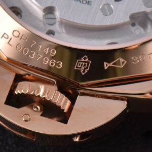 PAM756 Luminor Due VSF 42mm RG White Dial Leather Strap Asia XXXIV - Image 24