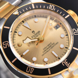 Heritage Black Bay S&G 41MM ZF YG Dial YG/SS Bracelet A2824 - Image 4