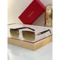 Cartier (CT0272)