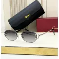 Cartier (CT0029RS)