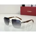 Cartier (CT0287S)