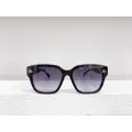 BALENCIAGA (BB0389S)