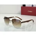 Cartier (CT0288S)