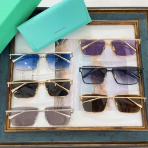 TIFFANY & CO. (TF5013)