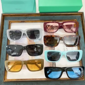 TIFFANY & CO. (TF5009)