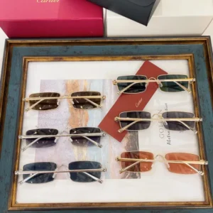 Cartier (CT0473S) - Image 2