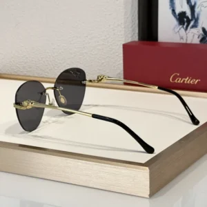 Cartier (CT0269S) - Image 3