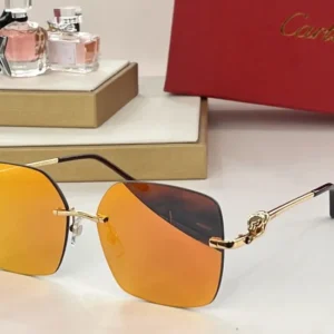 Cartier (CT0359) - Image 4
