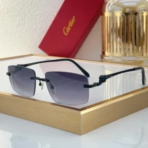 Cartier (CT0430S) - Image 2