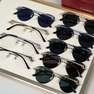 Cartier (CT0269S) - Image 2